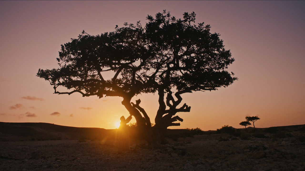 Niche Perfumery in the UAE: Craftsmanship, Culture, and Scent Identity