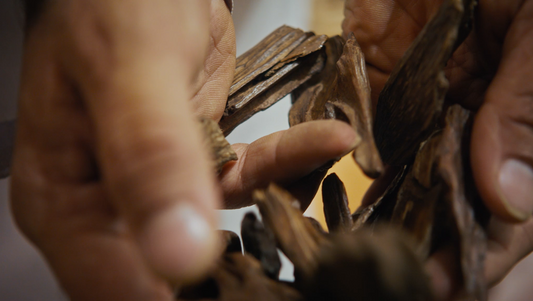 Your First Oud: A Beginner's Guide to the King of Ingredients