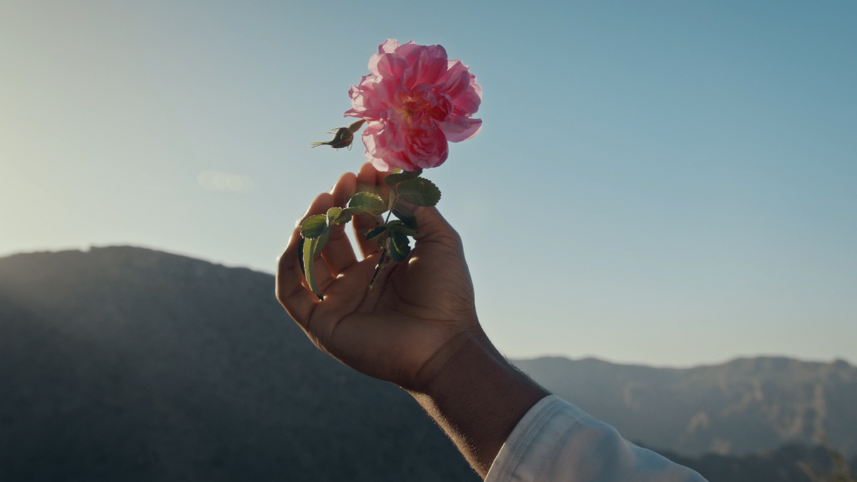 Rose Without the Rules: Exploring How Modern Perfumery Reimagines the World's Most Recognisable Flower