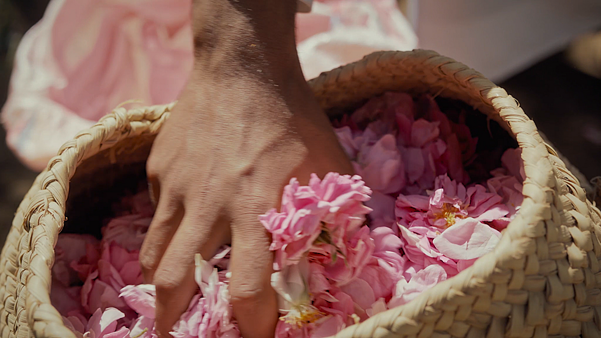 Rose Across Borders: How One Flower Speaks Different Languages of Luxury
