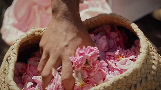 How To Choose Perfume Based On Occasion In UAE: Your Complete 2026 Guide