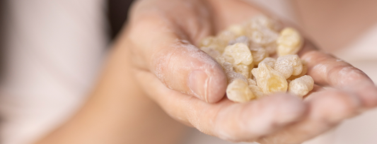 Omani Frankincense: The Liquid Gold Behind OJAR's Signature Scents