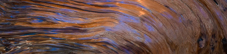 Sandalwood Collection