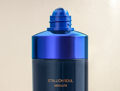 STALLION SOUL