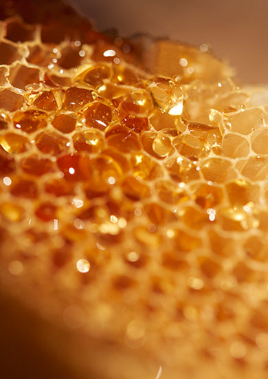 Honey Collection