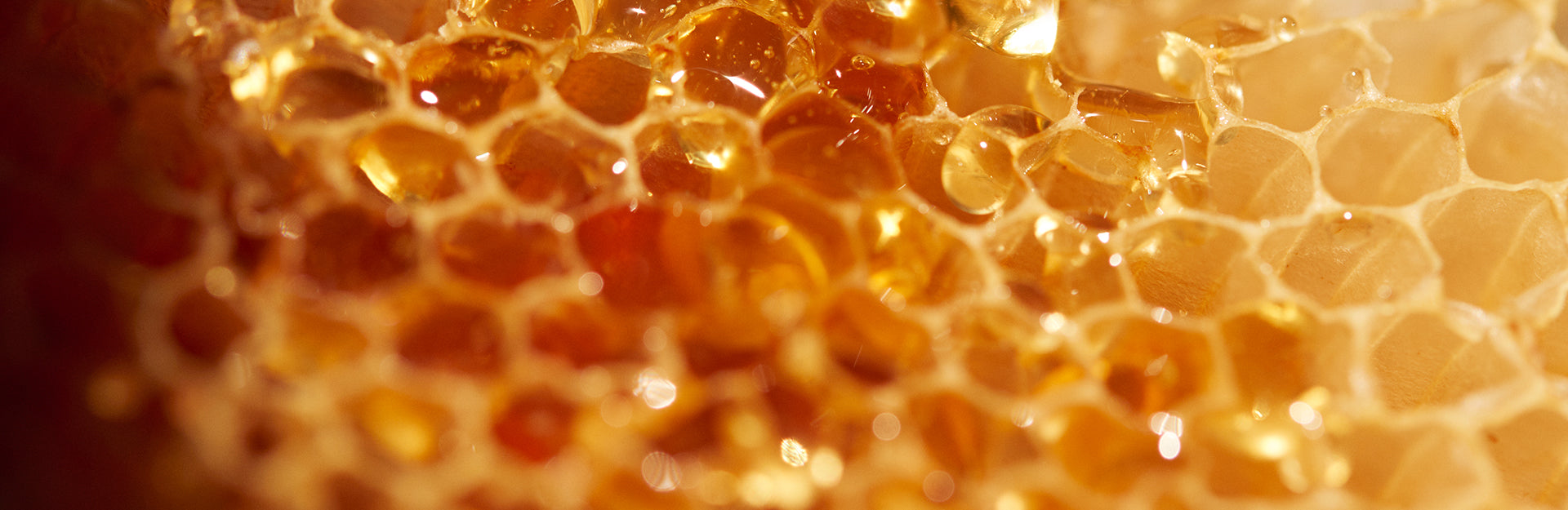 HONEY COLLECTION
